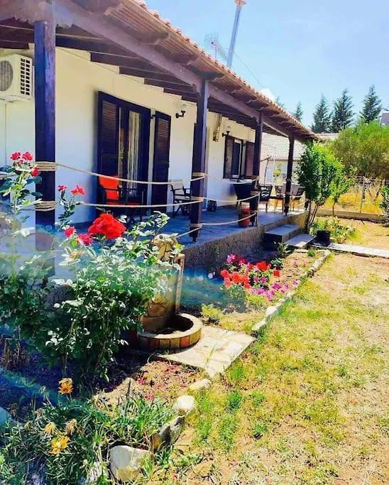 Villa Alva Sykia Chalkidikis